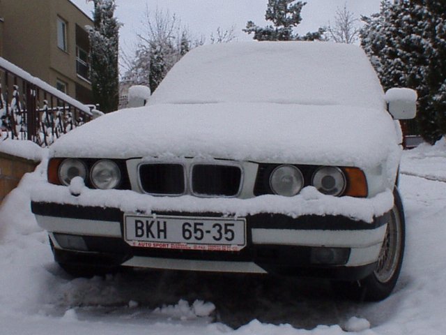 Pod_sn�hovou_pe�inou