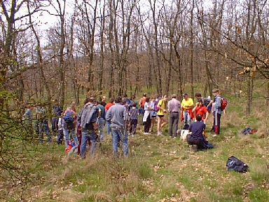 pic6