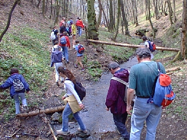 pic7