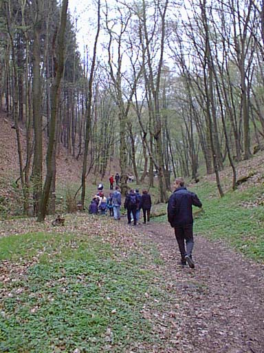 pic7