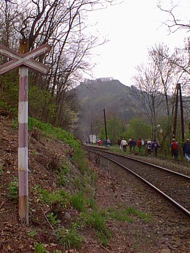 pic8