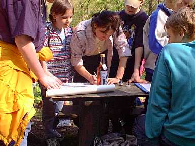 pic3