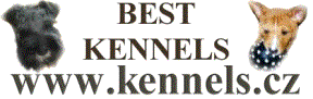 Best Kennels