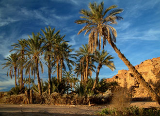 Ouad�ne, Mauritania. Photo by Gregg Butensky at www.madnomad.com.