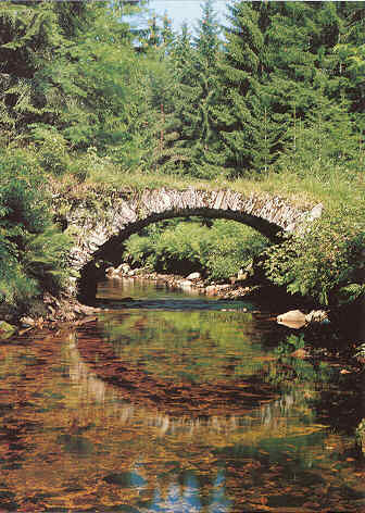 plav kanal.JPG (34471 bytes)