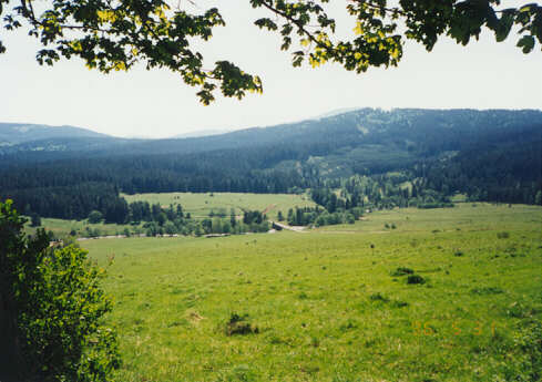 jaro na Stodulkach.JPG (33967 bytes)