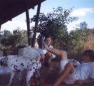 chlum 1999