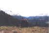 muragi.jpg (161275 bytes)